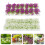2 Dozen Mini Bloemcluster Gras Landschap Zandtafel Decor 3