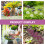 2 Dozen Mini Bloemcluster Gras Landschap Zandtafel Decor 11