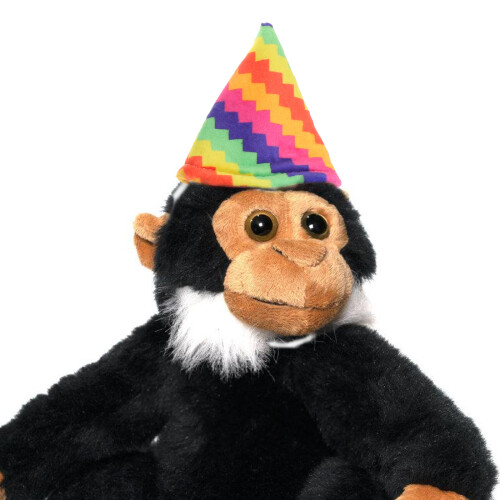 De Accesorios Para De Con Sombrero De 2
