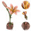 De De Madera Flores 3D DIY 10
