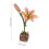 De De Madera Flores 3D DIY 3