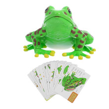 3Stück Frosch Lernmodell Mit Herausnehmbaren Organen Für Kinder