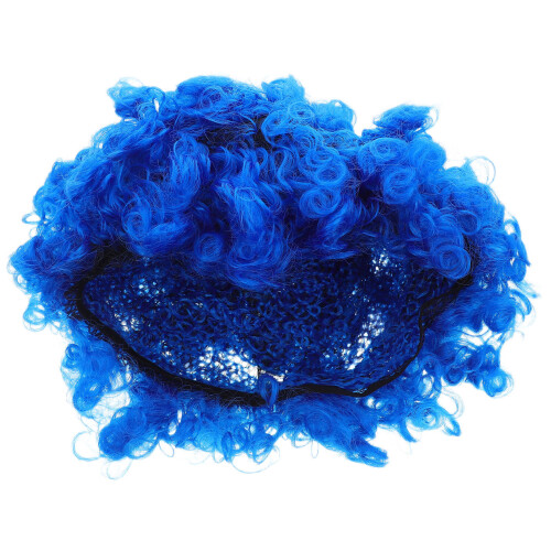 12 Pluizige Afro Pruik Vrouwen En 1