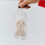 Bolsa Para Exponer Transparente Con 6