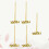 Râteau En 4 Dents Pour Sable Bureau Accessoire Table Miniature 8