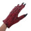 1 Paar Wolf Handschoenen Halloween Cosplay 4