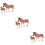 6 Unidades De Zebra Animal Vivido 11