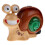 Sprinkler De Para Crianças Brinquedo De Exterior 9