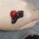 3 De Sangue Para Maquiagem, Ferramenta De Halloween E Plasma 11