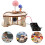 Conjunto Sol Solar Para Estudantes 6