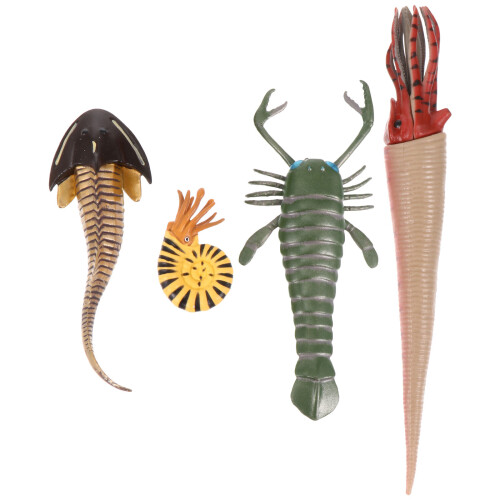 8 Unidades Animais Marinhos Educativos 1