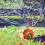 Sprinkler De Para Exterior Com Caracol E Ondulantes 4