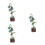 3Pezzi 3D In Legno Puzzle Per Adulti: Kit Da Te 8