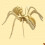 Spider 3D Legpuzzel Educatief Speelgoed Voor Kinderen 9