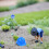30 Stuks Mini Bouw Pop Mutsen - Plastic Beschermhelmen Voor 6