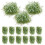 25 Stuks Micro Landscape Gras Clusters Decor 1