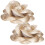 2 Bloem Clips Hak 11