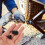 24 Jack Plugs Rubberen Oliepluggen Vloerjack Onderdelen Diy 5