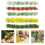 5 Dozen Simulatie Bloemclusters Diy Mini Bloemstruiken Micro Decor 1