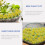 1 Caja Flores Estáticas Para Miniatura 11