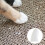 2 Packs/40 Pièces Couvre-Ongles Pour Chat Anti- 10