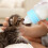 Botella Alimentación Bebedero Plástico Para Mascotas 8