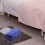 Gorgeous Flanelle Animaux Douce Unie Bleu 4
