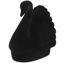 5Stk Schwarzer Schmuckkasten Design Schmuck Organizer Für Ohr