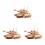 3 Piezas 3D Madera Juguetes Niños 6