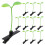 60Pcs Sprout Hårklippning Mini Bönspira 6