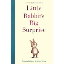 Little Rabbits Big Surprise by Swapna Haddow Paperback Book