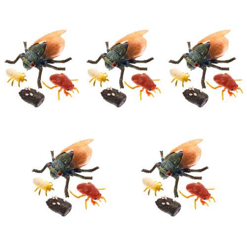 5 Ensembles Modèles Simulation Cycle Cicadé Pour Enfants 2