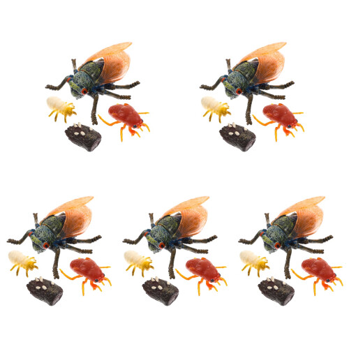 5 Ensembles Modèles Simulation Cycle Cicadé Pour Enfants 1