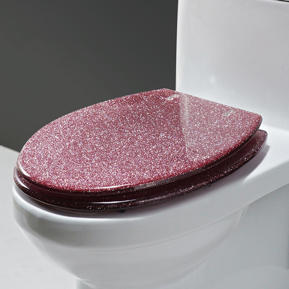Glitter Toilet Seat Resin With Quick Release Hinges Slow Close 42Cm X 36Cm Style B Standard Toilet Seat 9323874286204
