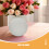 Grå Blomsterskumklot För DIY Och Blomsterkonst 9