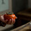 Persimmon Tebehållare Av Keramik Förvaringskärl 6
