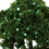 5 Stuks Mini Kunstmatige Appelbomen Voor Micro Landschap 8