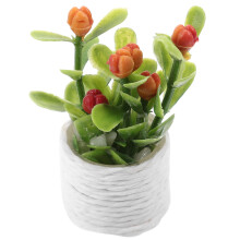 5Teile Mini Topfpflanze Bonsai Für Desktop Diy Mini Deko
