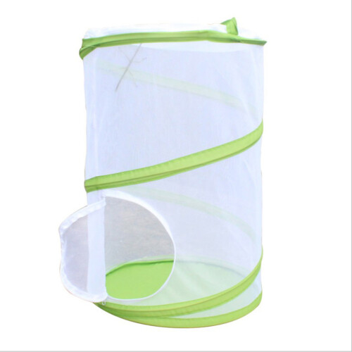 Green Witte Draagbare Insectenkooi voor en
