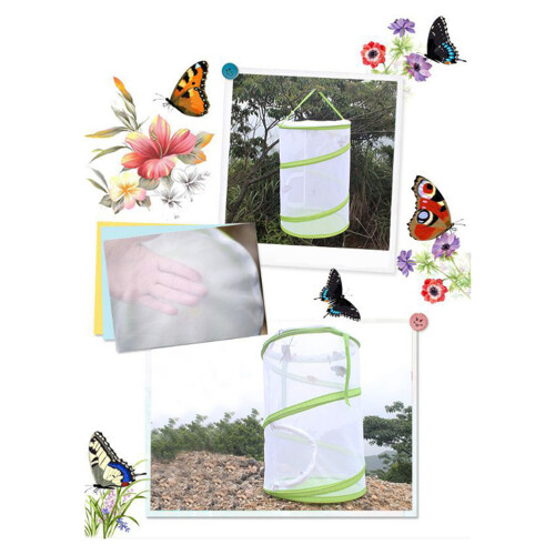 Green Witte Draagbare Insectenkooi voor en 1