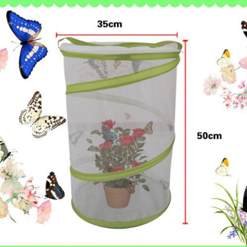 Green Witte Draagbare Insectenkooi voor en 2
