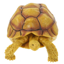 2 Stuks Realistische Schildpad Figuur Voor Vroeg Educatief Gebruik