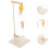 4 Sets Physik Kit Rollenmodell Lernhilfe Experimentier Rollenblock 11