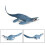 1 Stuk Geanimeerd Mosasaurus Model Jurassisch Kunststof 7