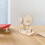Stem Science Kit Für Kinder Diy Modell Experiment Set 4