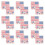 25 Amerikaanse Tijdelijke Stickers 1