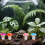 120 Unidades Mini De Espuma Para Micro Paisaje 6