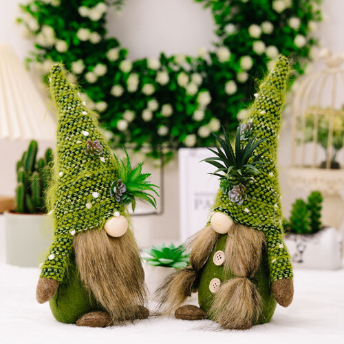 Succulent Gnome Decoración Planta Escritorio 2