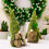 Succulent Gnome Decoración Planta Escritorio 2