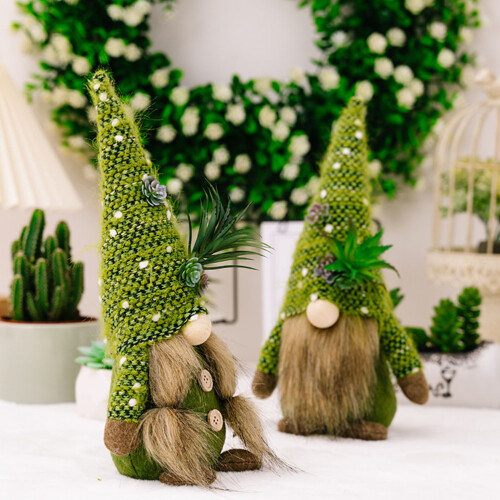 Succulent Gnome Decoración Planta Escritorio 1